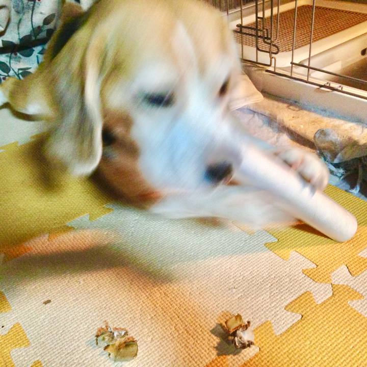 C85b3bb5 0425 40ef 8e3d 67c7a758f215 1757146889655