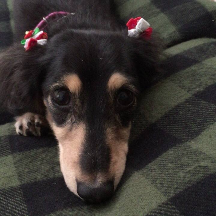 C85b46a8 85bf 4bc4 ab14 46474b874454 1511007279244