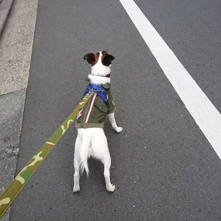 C85b6d15 16e0 4e99 a6f2 1afbedffcf2b 1517729901168