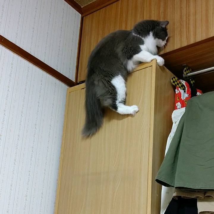 C85b8ca5 4918 45c6 a4af b872425a4d90 1592711317964