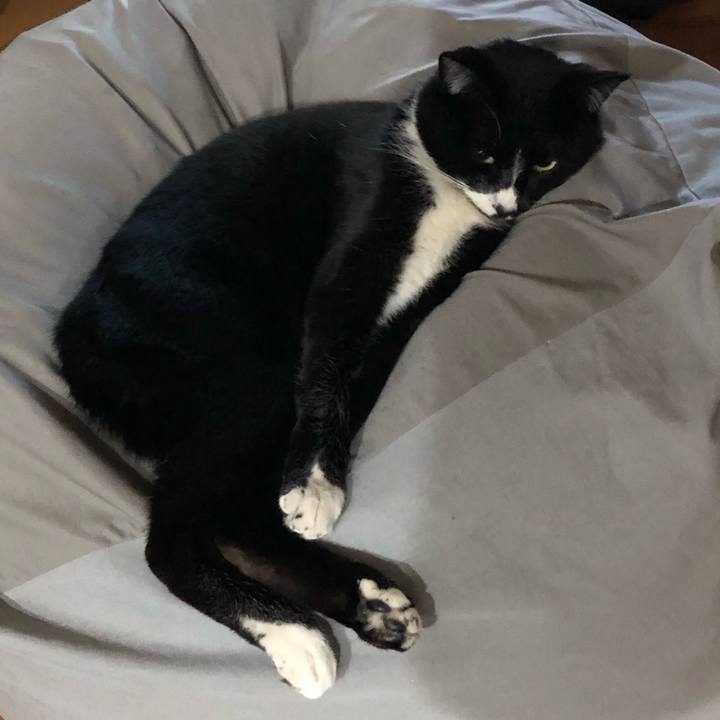 C85bdfd8 4b4d 473b 8923 88deae92778f 1518838889931