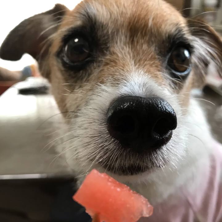 C85c0a52 7dc5 4096 83d0 df3d5981166f 1564008989485