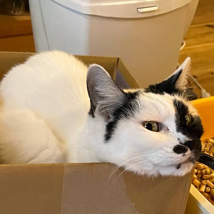 C85c2835 4851 428f a805 6ade3d471b85 1769005057325