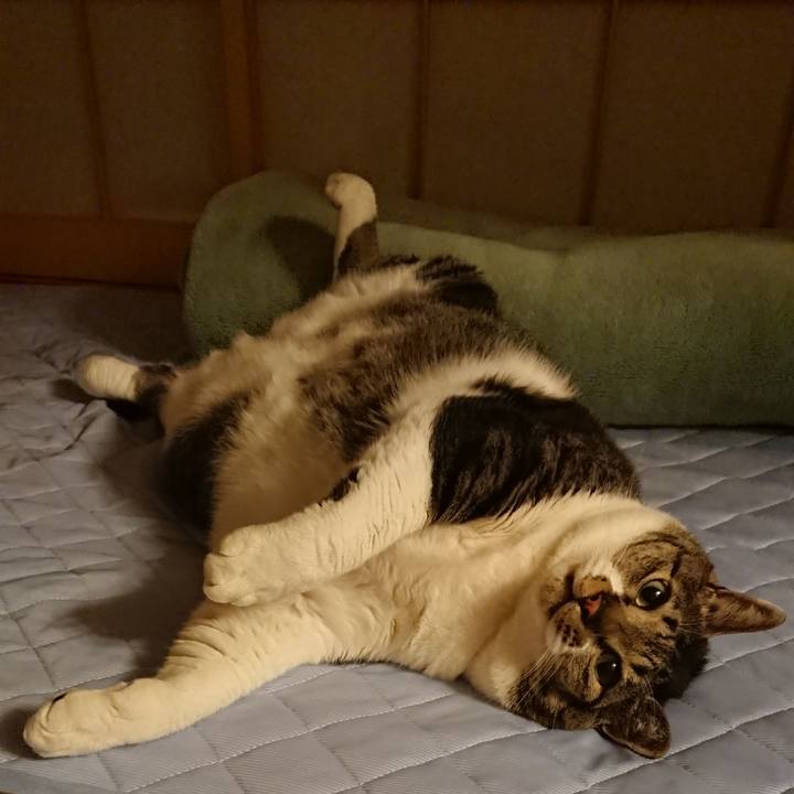 C85c35c2 5159 46b5 a568 a1fe758aeeb9 1532944607713