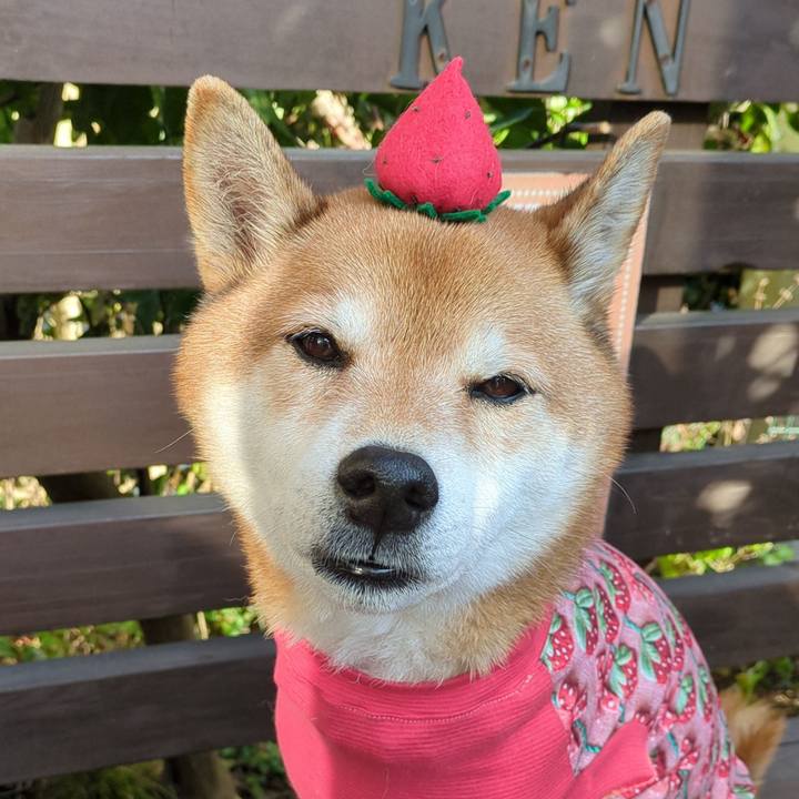 C85c54dc 9cf9 4c50 8f96 14451d431591 1737214610352