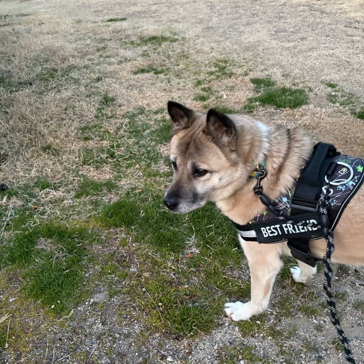 C85cfbec 0c6b 4d6b a8a4 24406f5ecd5a 1739968657594