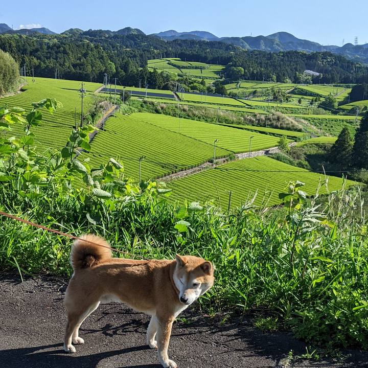 C85d0764 5fc4 4eed a190 5a62ad6d2bbd 1714009161594