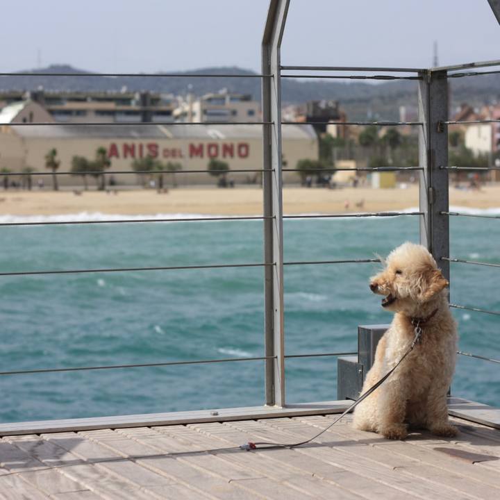 C85d3352 f64e 413a addc 94b340d66e46 1527778008532