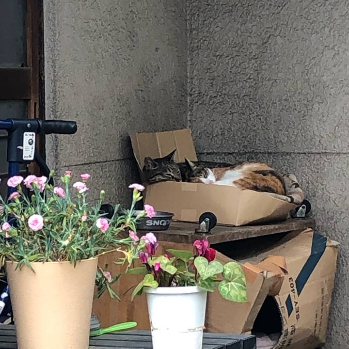 C85d6c47 d2ac 42f5 ac0a a95a95d0c709 1557536199166