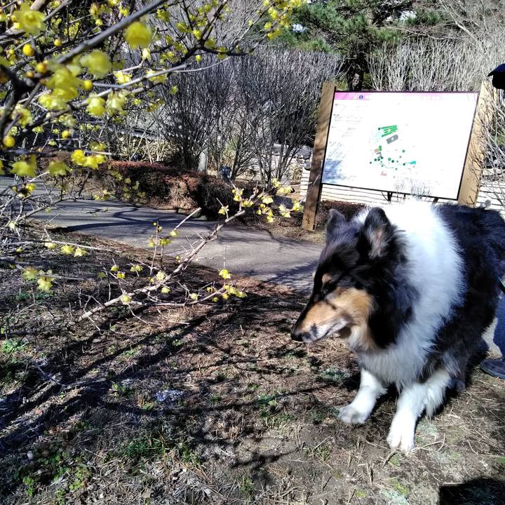 C85d7019 55b8 4532 ac42 f609dbf96a87 1517061920201