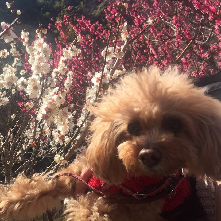 C85d7124 ea67 4a43 b776 e2822a51421d 1518859295261