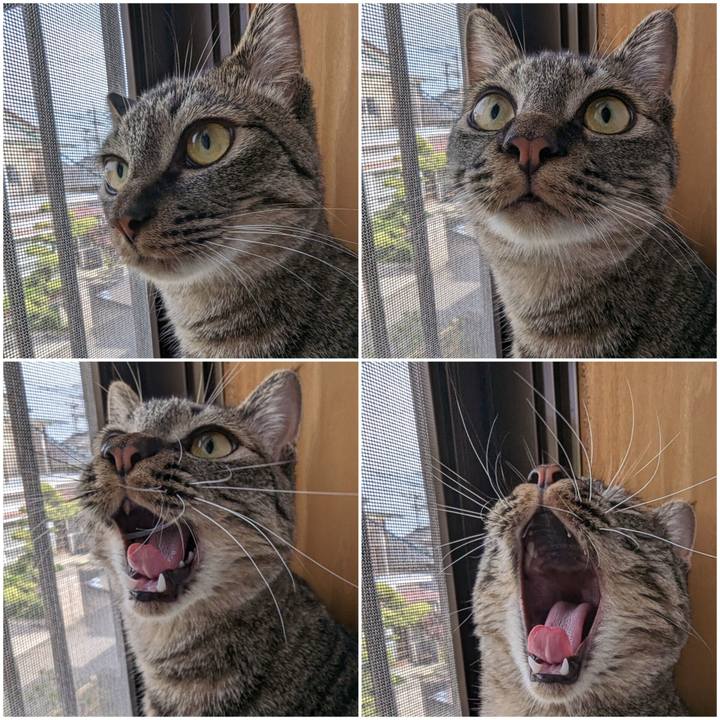 C85d7545 763b 4afd 9c0c b043210e2b28 1716543059595