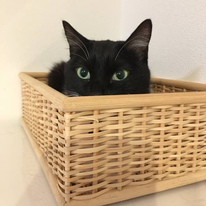 C85d9b35 fe7f 4775 9d43 06e5cddbc95a 1541586748884