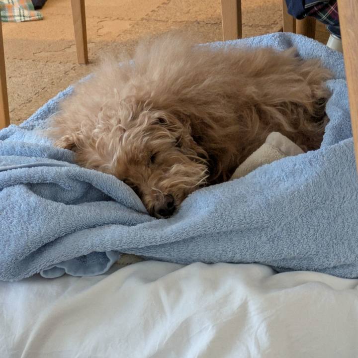 C85da17d 69a3 424a bdf6 0877b1db3a9e 1739677241175