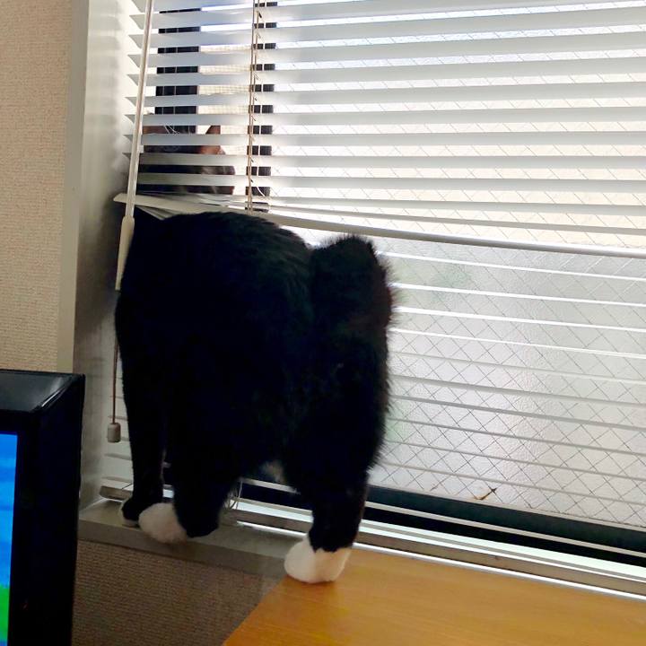 C85da6e5 cd70 49c2 b1dc c5a9ba00402d 1518148712809