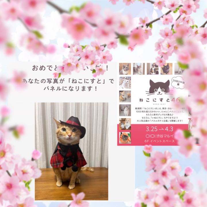 C85dcb67 7bb9 4962 9ebd 05a9d316885f 1645393692338