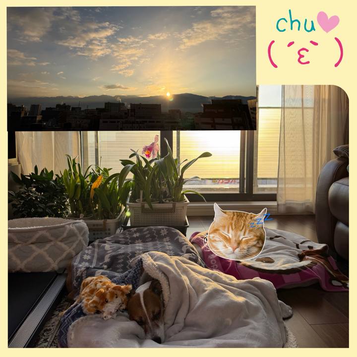 C85dd58f cf20 47a7 9104 1192d1779407 1769984810240