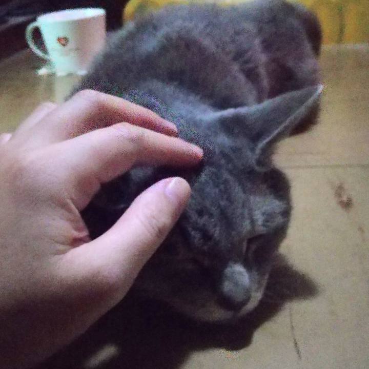 C85dda02 fc20 4bf9 b862 5821ac4eb0ee 1663195429918