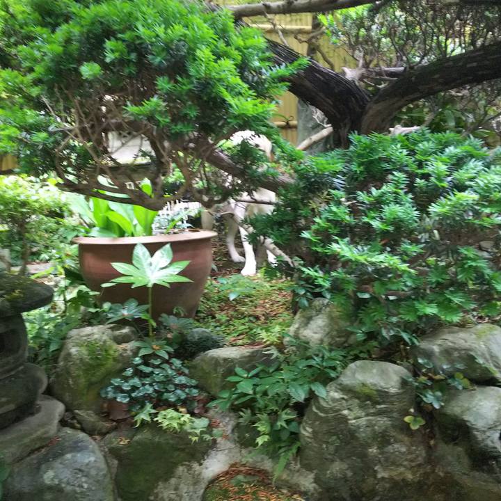 C85de8e4 7da7 4f58 ae0e af3e9785a88c 1525778394795