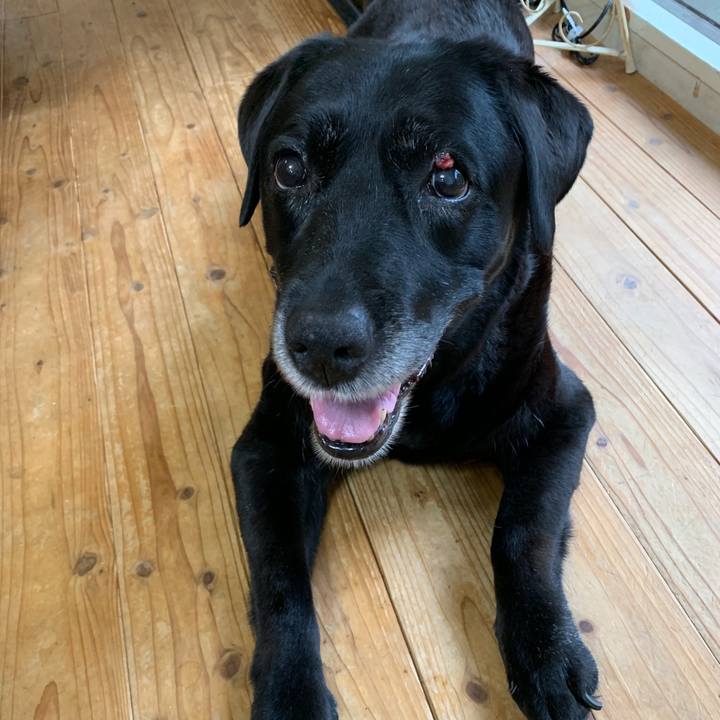 C85e196a 5a8d 46b8 b8a5 2faff635b623 1565834185958