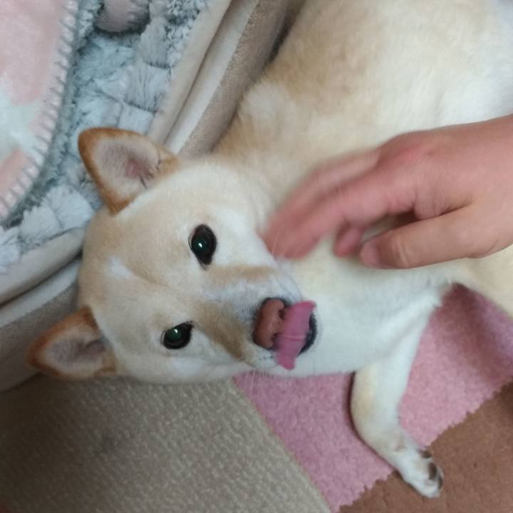 C85e857f 61b2 4c00 ad8f aaa37fdc2803 1584566787164