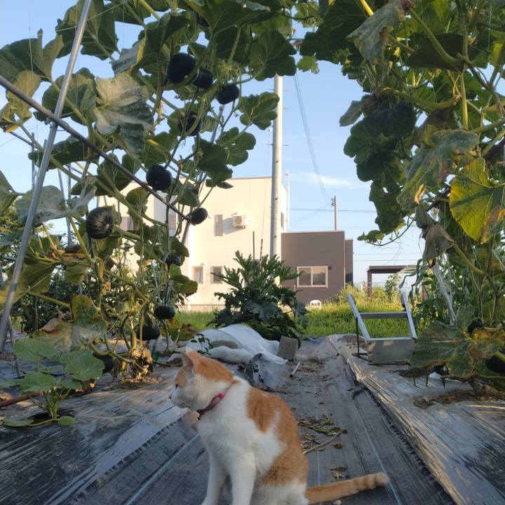 C85eaffb 16bc 4bbd 88fb 3ea2bda784cf 1752398680102