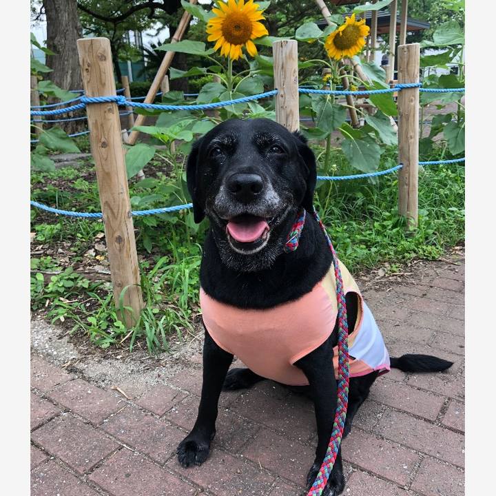 C85eb971 8d63 4b4b 9676 f8d2cbaa01db 1562669142854