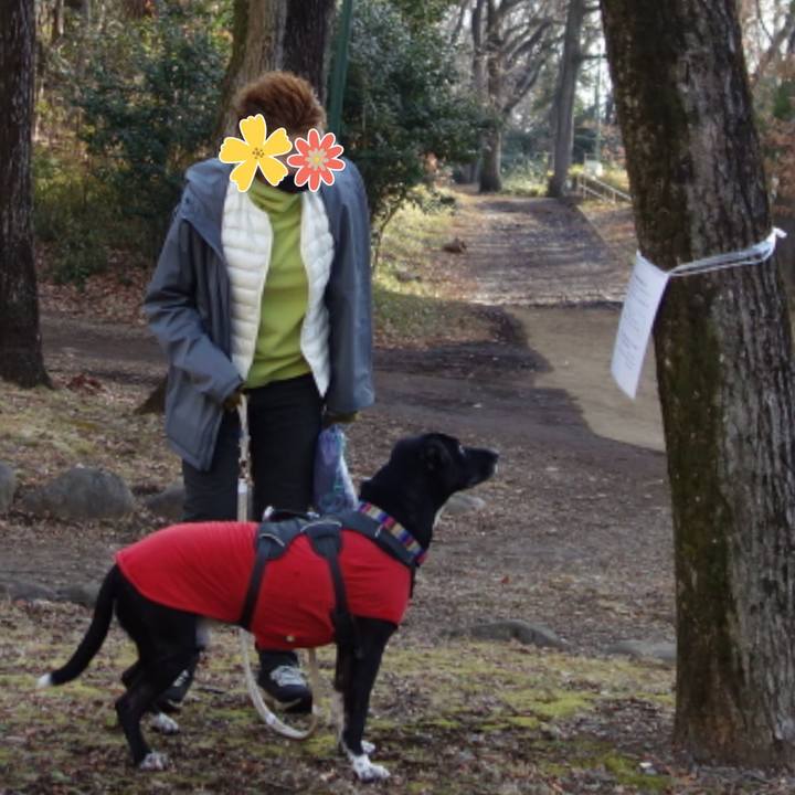 C85ecd76 279e 4f61 ba51 87e3ee3e43fb 1642382517619