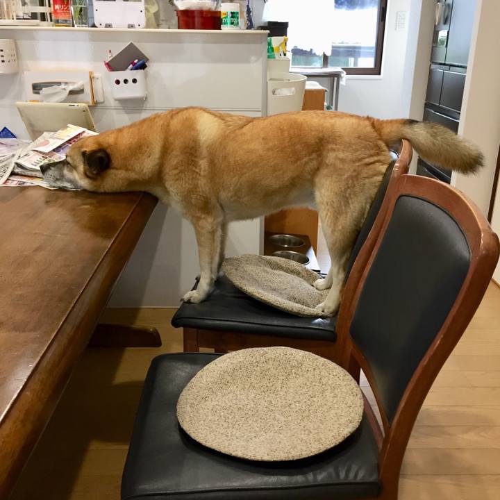 C85edf2d 00f7 4afd ba1a 94a5b1cf8a3a 1525216005083