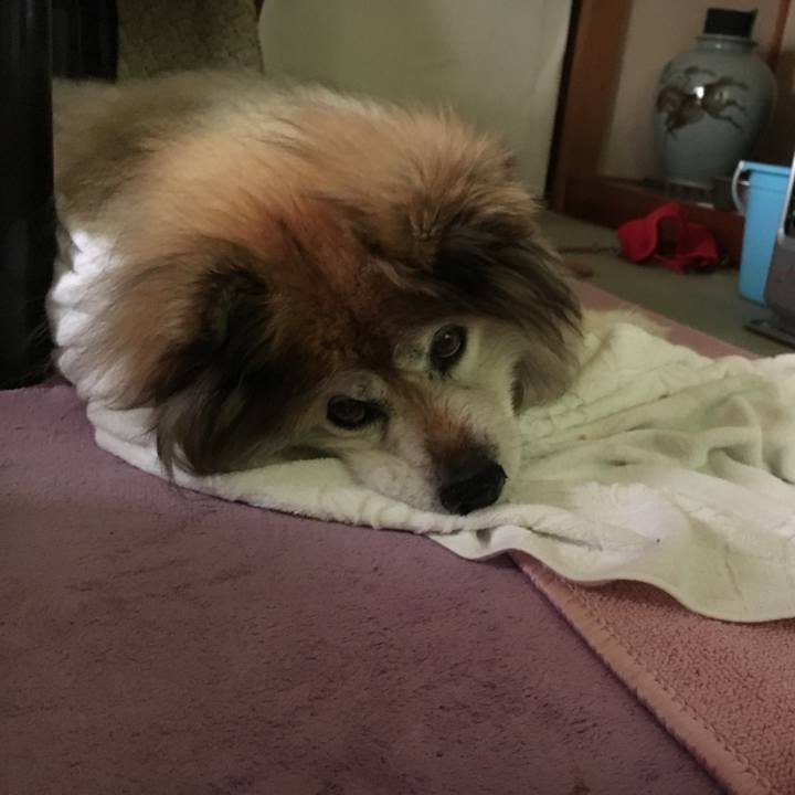 C85eecf0 60c5 45c3 97ca 96e65de3bc90 1567470807219