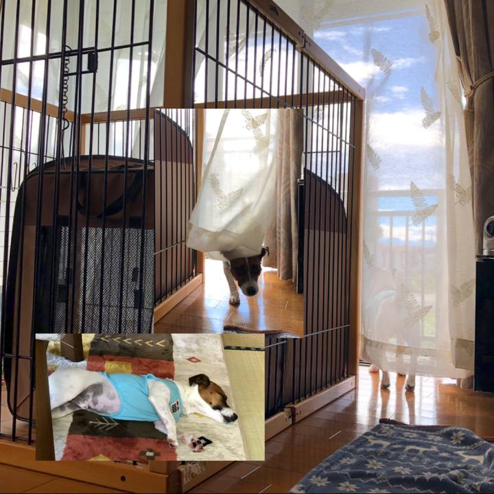 C85efc5c 79c6 4887 89c2 cbe0e3a27f27 1597108069408