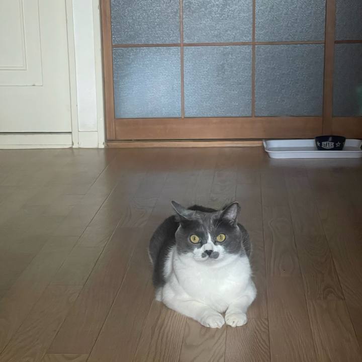 C85f126f 6789 4093 b418 30fc8c4e583e 1722840459741