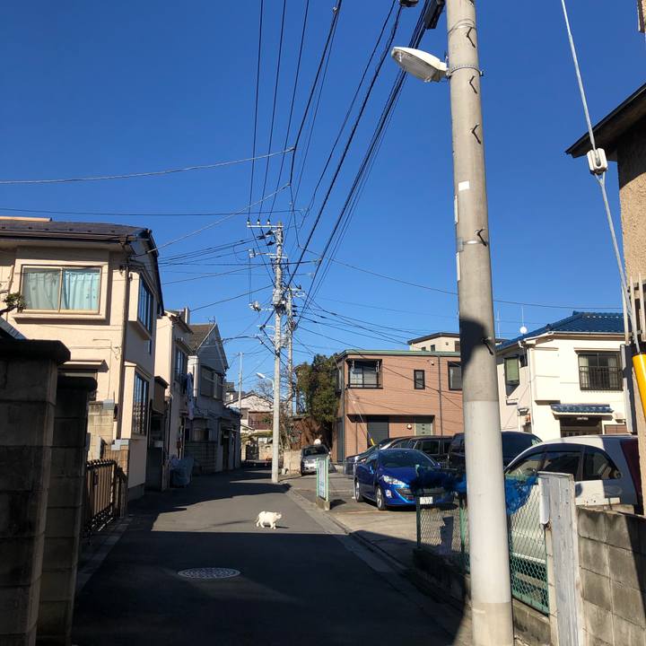 C85f1cdf 80db 4827 b529 0c784979f3a0 1614440822492