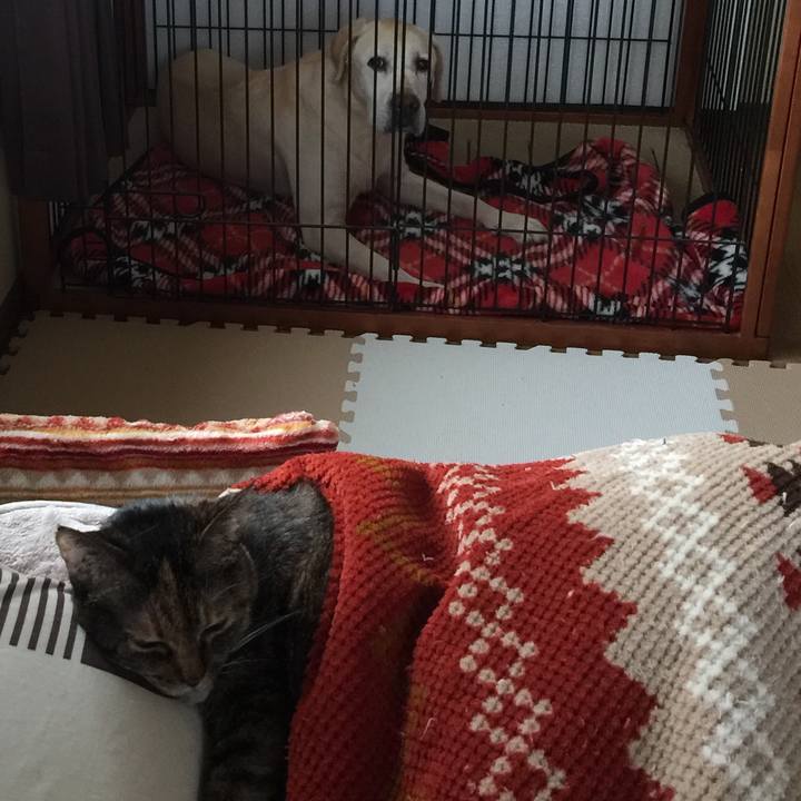 C85f5528 2f52 4288 abae a73f7894973c 1577836773583