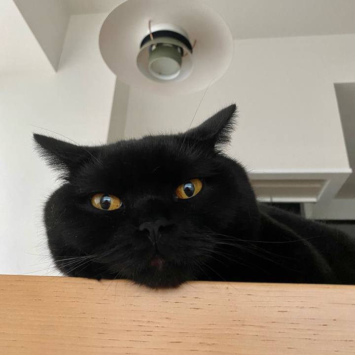 C85f6343 7007 41fd a7ca 8c703cb5c27d 1689548166362