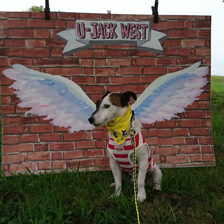 C85f6a8b b9e0 4615 baf2 b15cd14ff57b 1567296065283