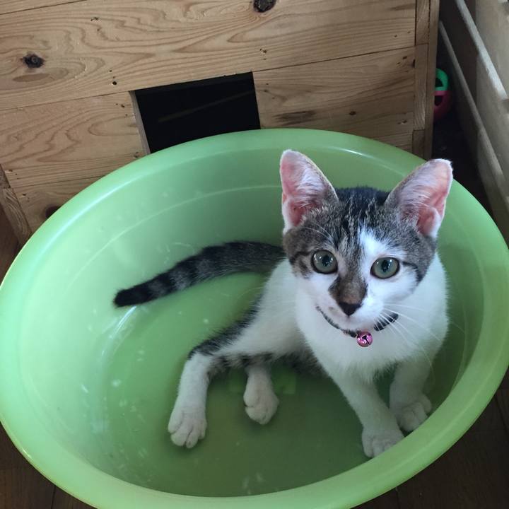 C85f7aa7 f116 44c9 959a 0306004f7b38 1533342283059