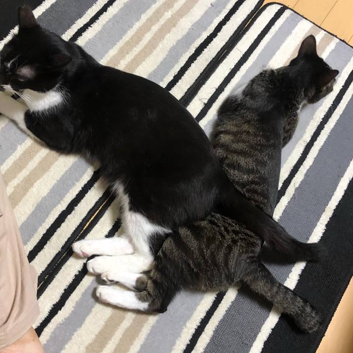 C85fcf28 ca96 4d8e a51f 588076317147 1601000393038