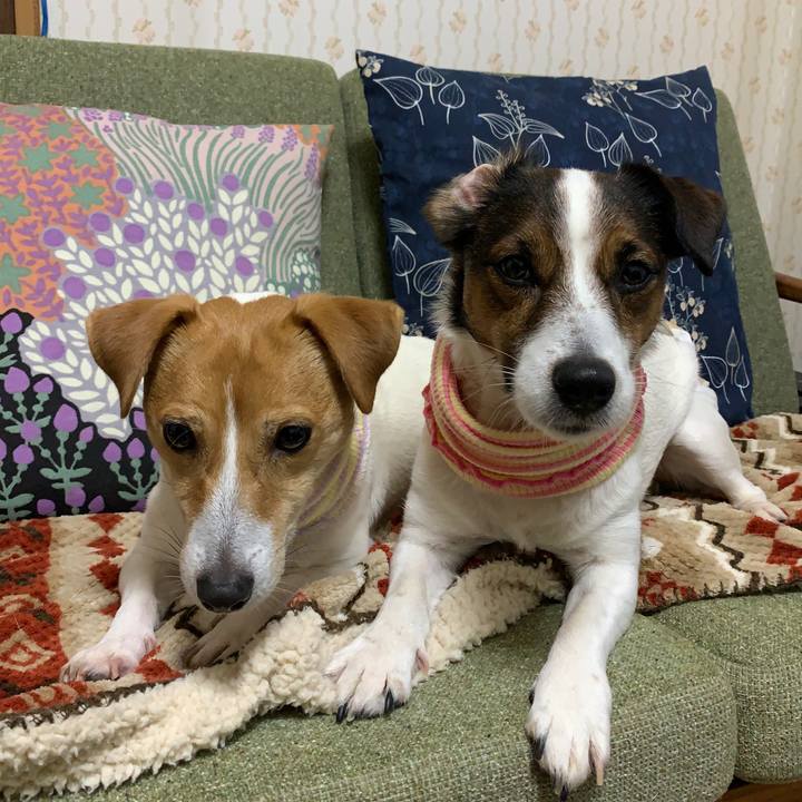 C85fd19b 4671 4330 9e91 592bb3d6cccd 1581666817090