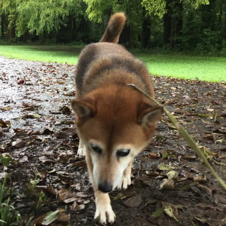 C85fd394 69d4 49ae b49b a9dae43c833d 1630646858979