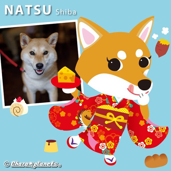 C85fe4e9 f8b7 47c9 9570 58d2613513a1 1558052426716