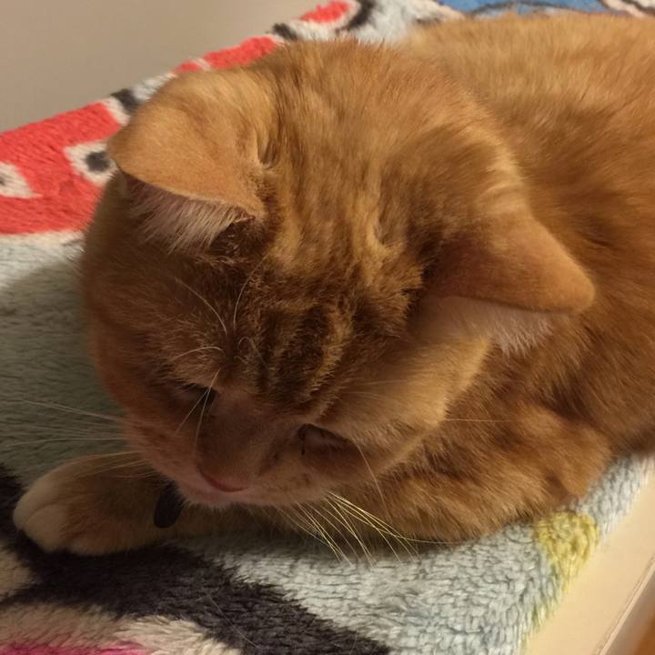 C8600415 1475 48d1 a189 c234d6b9d9e6 1548084587082