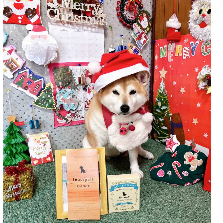 C8603acb bce2 4aed 901f 715fca8638c4 1703313641668