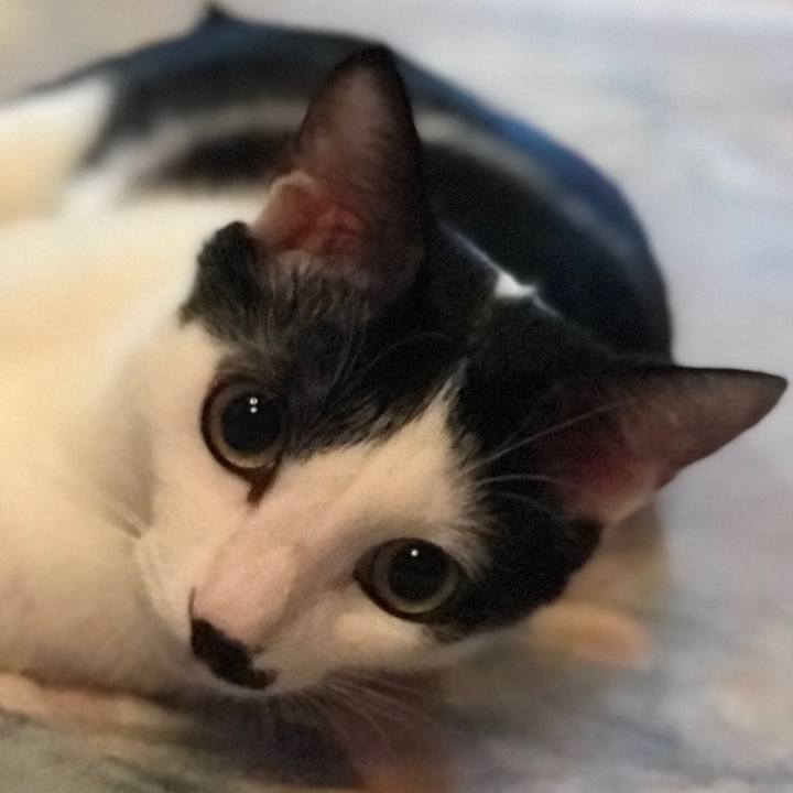 C86084fc 5405 499b 9d39 dee2d48bc62b 1525791549166