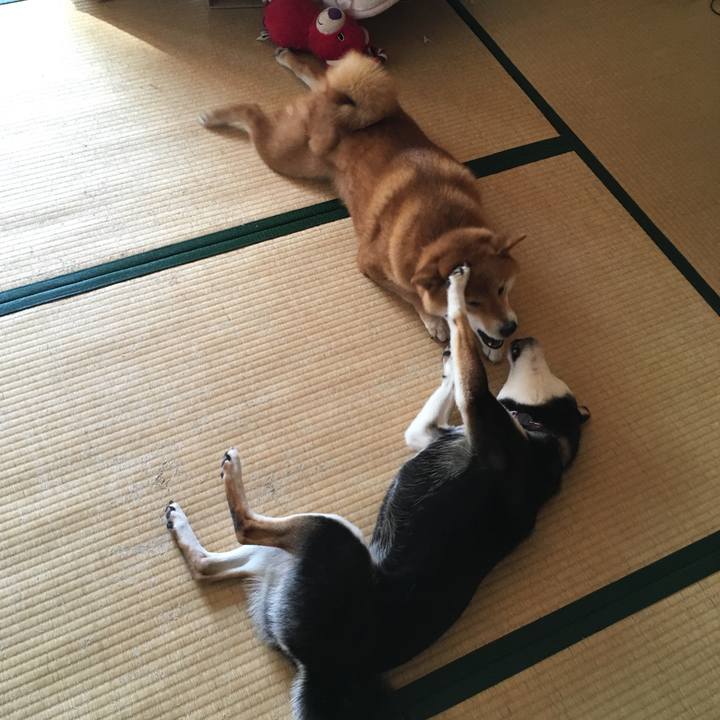 C860a9a7 3e01 4fc5 a418 4358bc25a60a 1555624952668