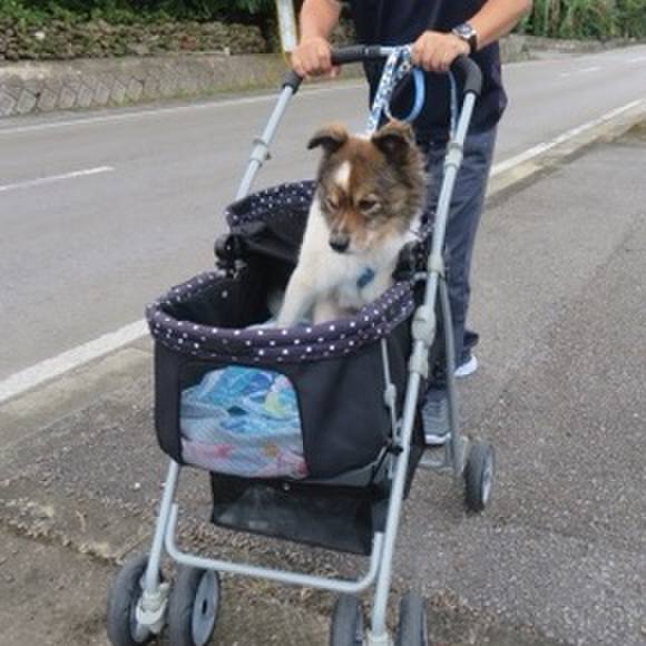 C860b776 842e 4995 a6c2 7fd0da696548 1605538526303