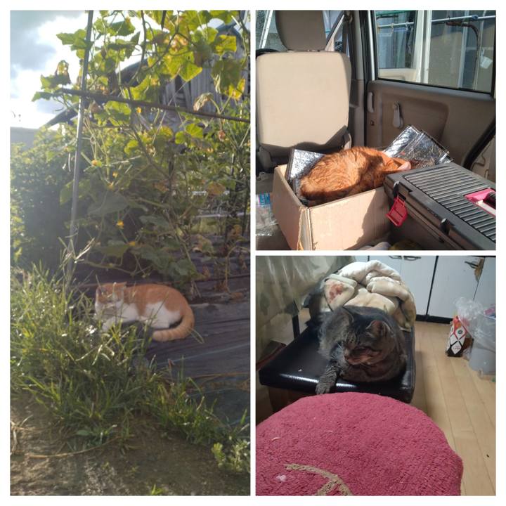 C860dfe1 0818 46ba b7fc 07950145e581 1754606843352