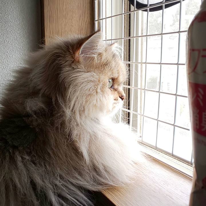 C860ec41 89b8 4b84 99f4 92ab560e5e43 1604451243604