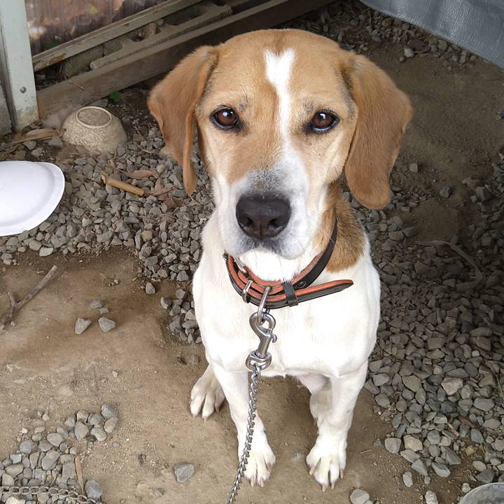 C8610628 4891 42d2 9c51 8771c5fc1e3a 1649660516479