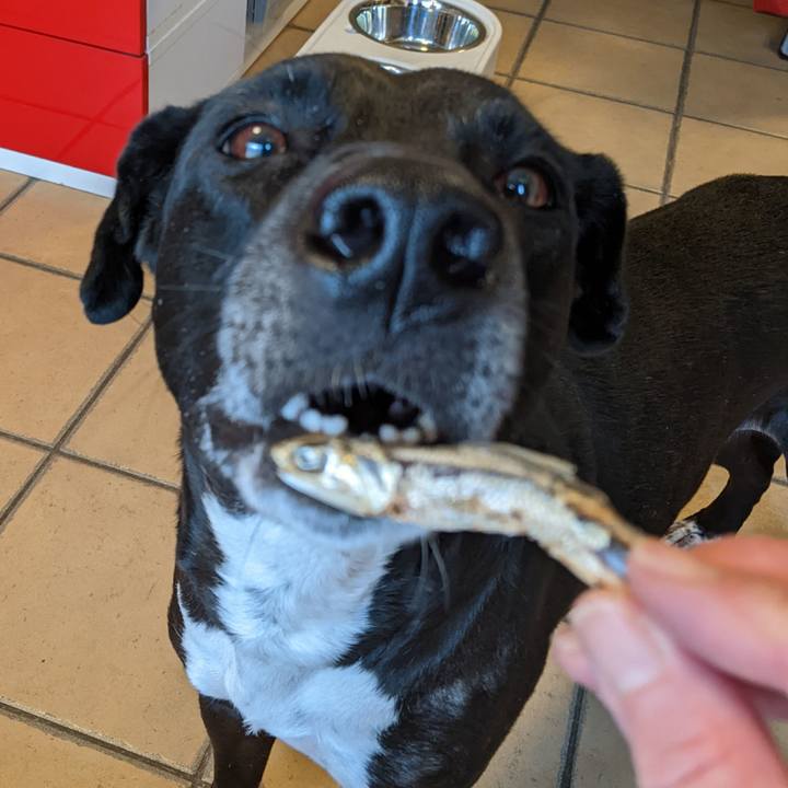 C86129d8 2bb4 450e a3aa 221d44a56fed 1645075770917